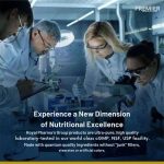 100% Organic Ginger Powder